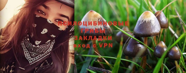 каннабис Алексеевка