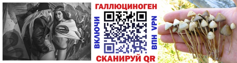 Галлюциногенные грибы мицелий площадка наркотические препараты Салехард